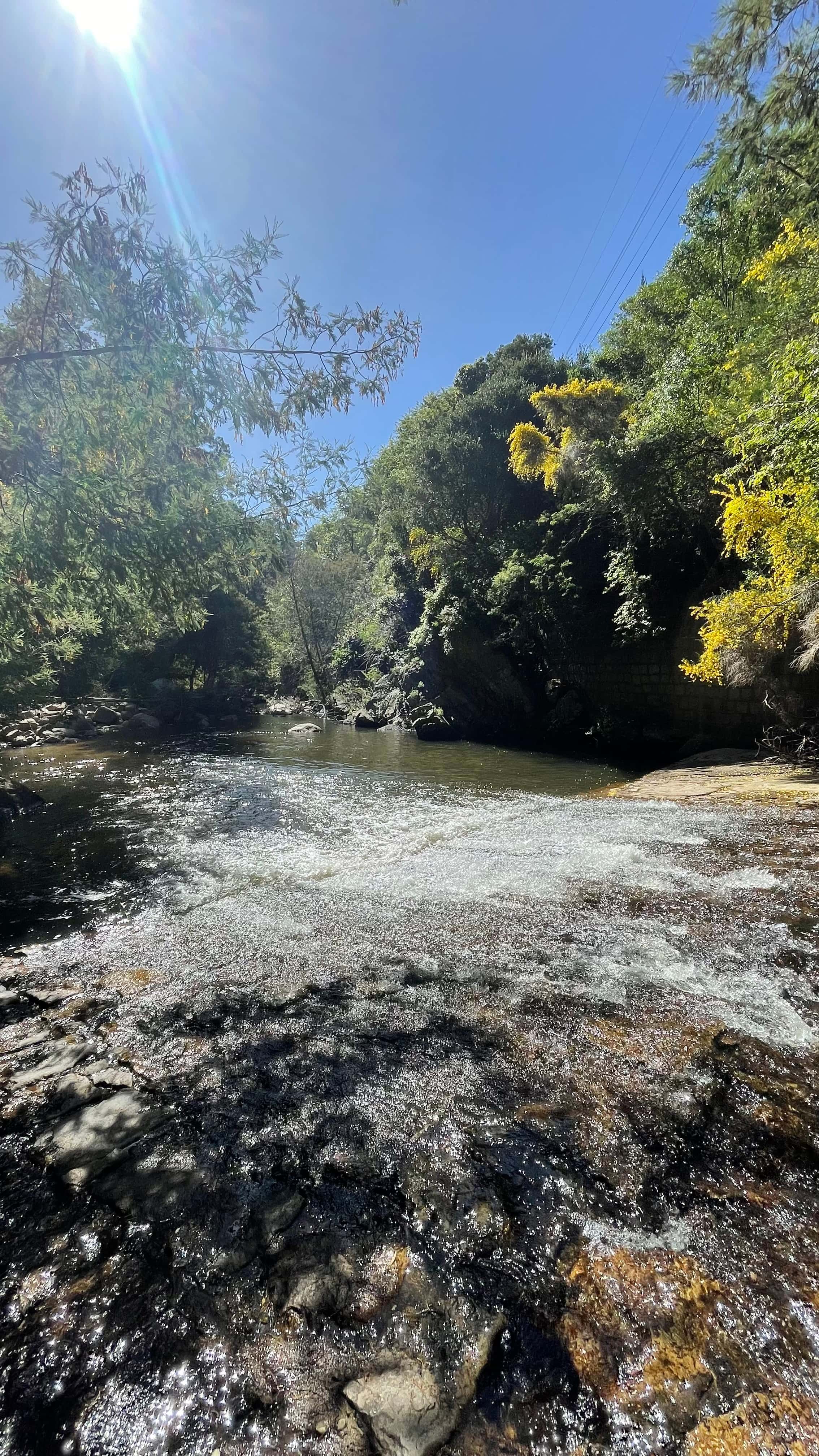 Primavera en Cauquenes